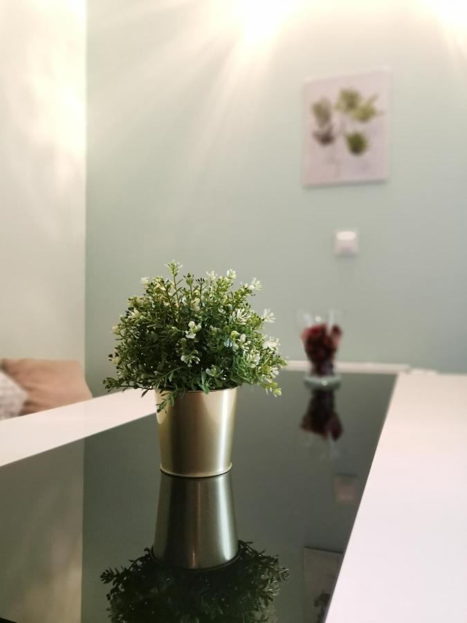 Maglonia Apartment Wrocław Buitenkant foto